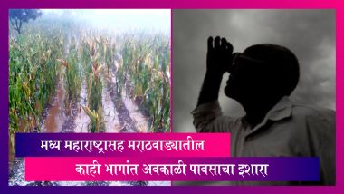 Maharashtra Weather Update: मध्य महाराष्ट्रासह मराठवाड्यातील काही भागांत अवकाळी पावसाचा इशारा,  शेतकऱ्यांची चिंता वाढली